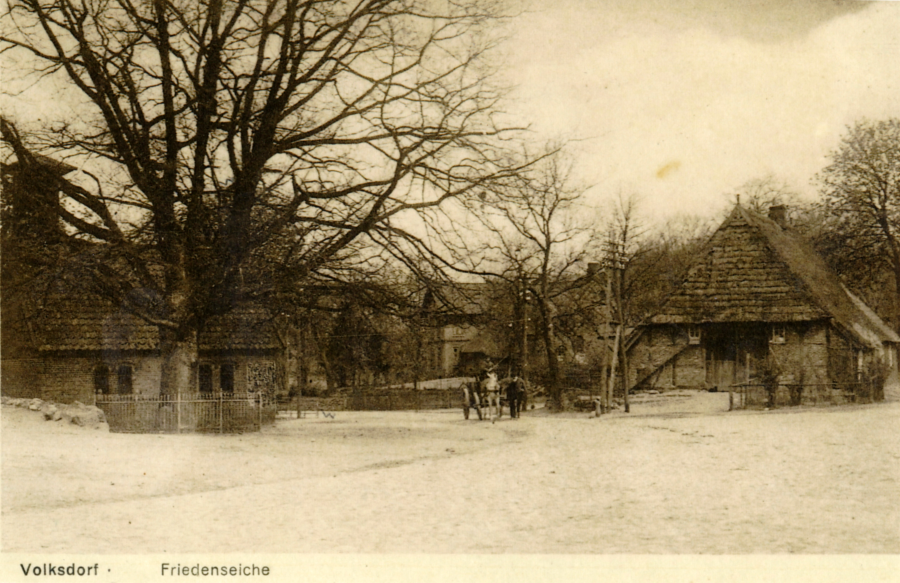 Friedenseiche von 1871, Museumsdorf Volksdorf